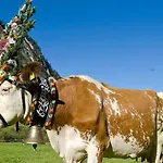 Zuppinger