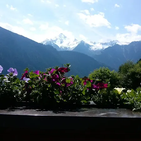 Διαμέρισμα Zuppinger *