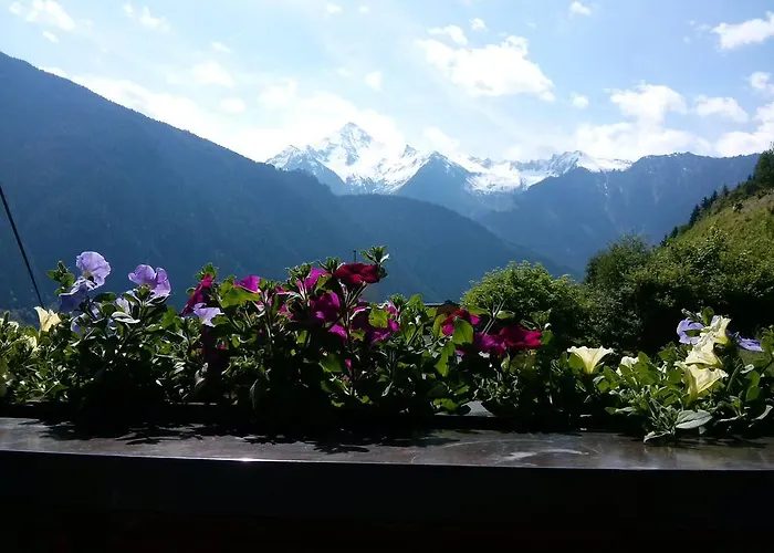 Appartement Zuppinger *